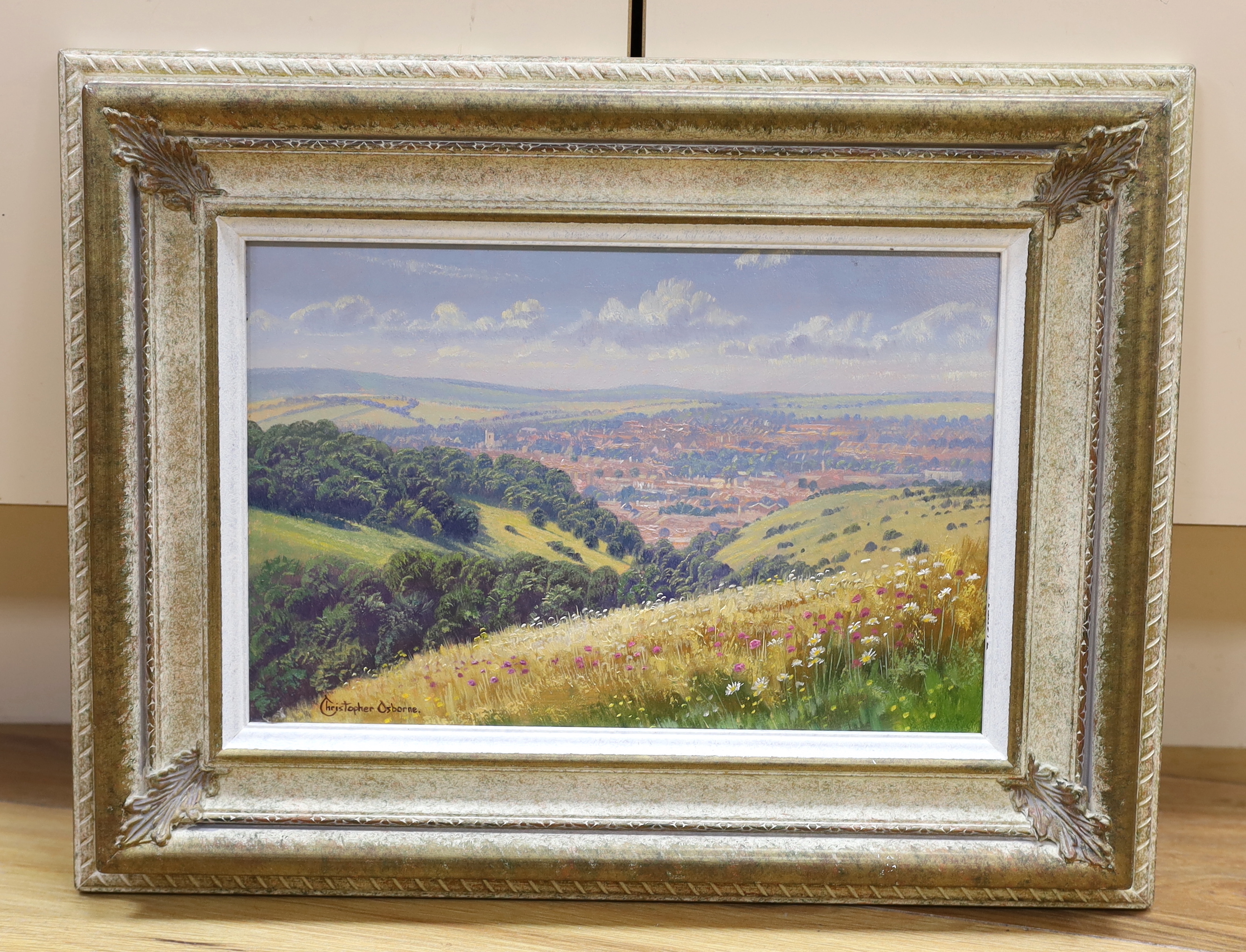 Christopher Osborne (b.1947) oil on board, 'Towards Lewes', signed, 19 x 29cm